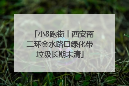 小8跑街丨西安南二环金水路口绿化带垃圾长期未清