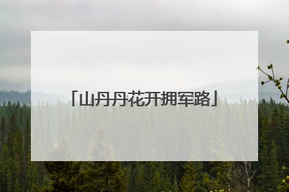 山丹丹花开拥军路