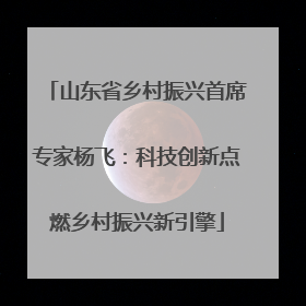 山东省乡村振兴首席专家杨飞：科技创新点燃乡村振兴新引擎