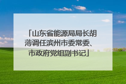 山东省能源局局长胡薄调任滨州市委常委、市政府党组副书记