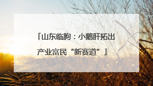 山东临朐：小鹅肝拓出产业富民“新赛道”