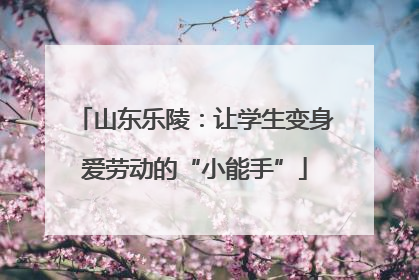 山东乐陵：让学生变身爱劳动的“小能手”
