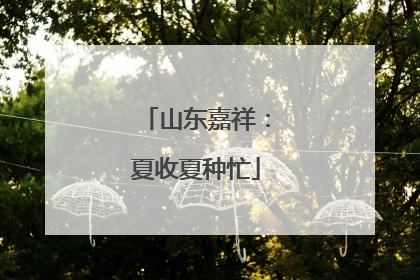 山东嘉祥：夏收夏种忙