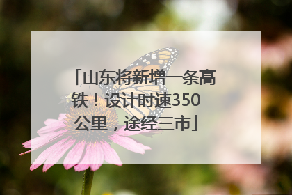 山东将新增一条高铁！设计时速350公里，途经三市