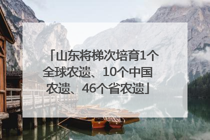 山东将梯次培育1个全球农遗、10个中国农遗、46个省农遗