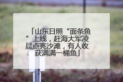 山东日照“面条鱼”上线，赶海大军凌晨点亮沙滩，有人收获满满一桶鱼