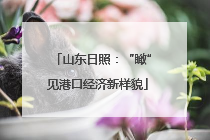 山东日照：“瞰”见港口经济新样貌