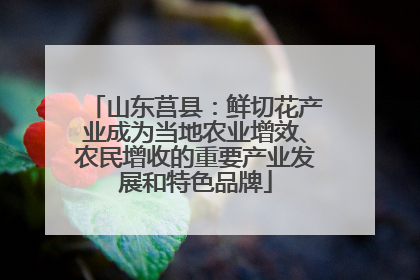 山东莒县：鲜切花产业成为当地农业增效、农民增收的重要产业发展和特色品牌