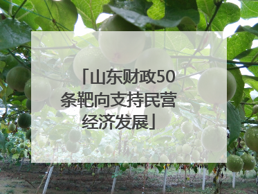 山东财政50条靶向支持民营经济发展