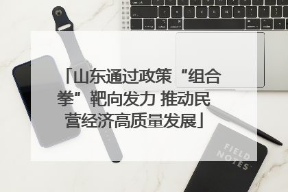 山东通过政策“组合拳”靶向发力 推动民营经济高质量发展