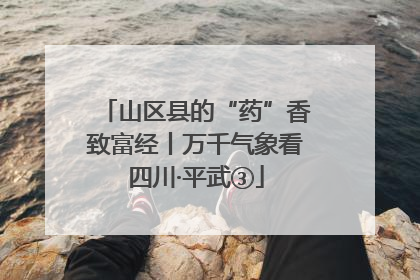 山区县的“药”香致富经丨万千气象看四川·平武③