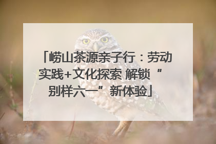 崂山茶源亲子行：劳动实践+文化探索 解锁“别样六一”新体验