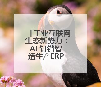 工业互联网生态新势力：AI 钉铛智造生产ERP获创新创业大赛优胜奖