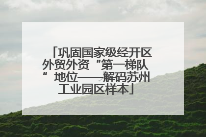 巩固国家级经开区外贸外资“第一梯队”地位——解码苏州工业园区样本