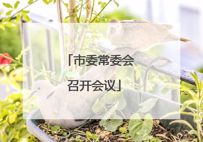 市委常委会召开会议