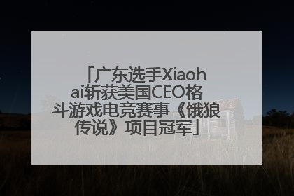 广东选手Xiaohai斩获美国CEO格斗游戏电竞赛事《饿狼传说》项目冠军