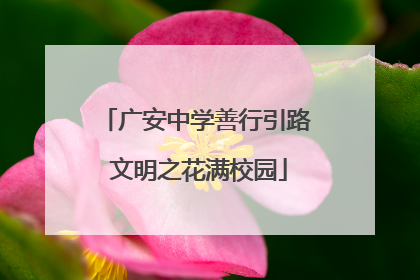 广安中学善行引路 文明之花满校园