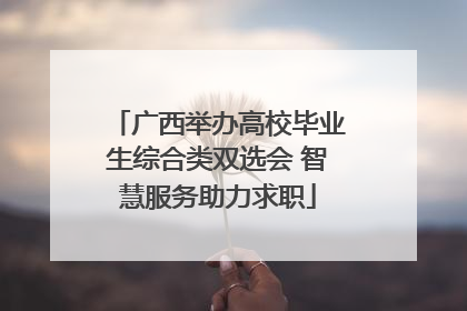 广西举办高校毕业生综合类双选会 智慧服务助力求职