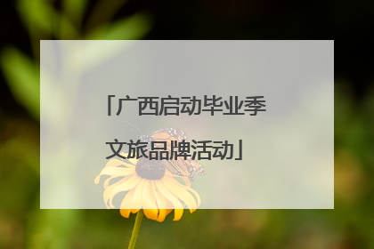 广西启动毕业季文旅品牌活动