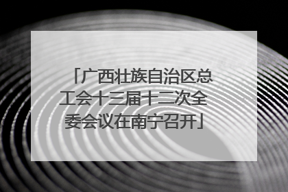 广西壮族自治区总工会十三届十二次全委会议在南宁召开