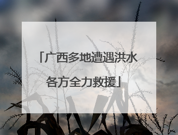广西多地遭遇洪水 各方全力救援