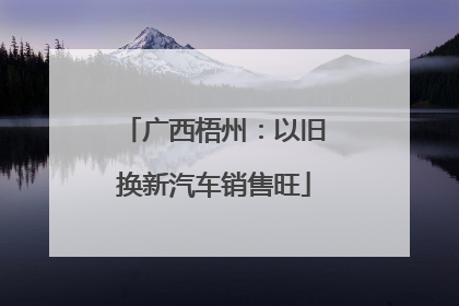 广西梧州：以旧换新汽车销售旺