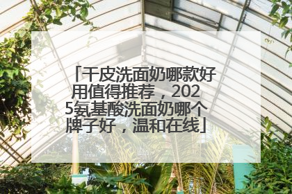 干皮洗面奶哪款好用值得推荐，2025氨基酸洗面奶哪个牌子好，温和在线