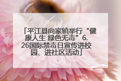 平江县向家镇举行“健康人生 绿色无毒”6.26国际禁毒日宣传进校园、进社区活动