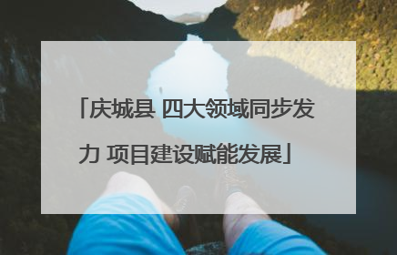庆城县 四大领域同步发力 项目建设赋能发展