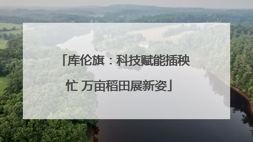 库伦旗：科技赋能插秧忙 万亩稻田展新姿