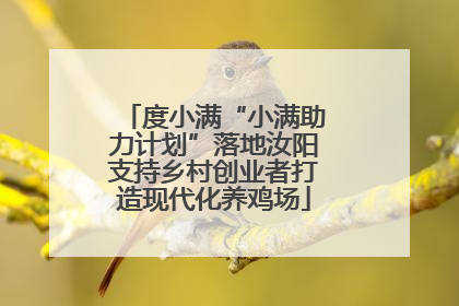度小满“小满助力计划”落地汝阳支持乡村创业者打造现代化养鸡场