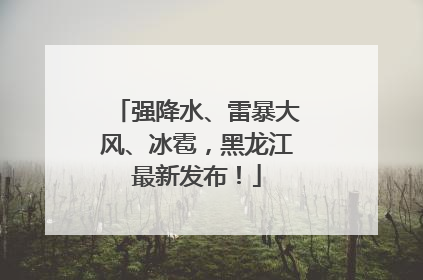 强降水、雷暴大风、冰雹，黑龙江最新发布！