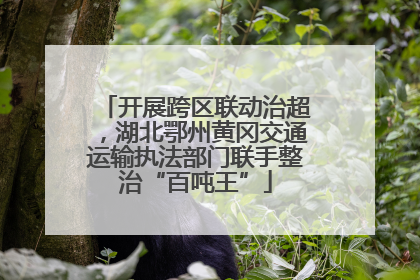 开展跨区联动治超，湖北鄂州黄冈交通运输执法部门联手整治“百吨王”