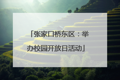 张家口桥东区：举办校园开放日活动