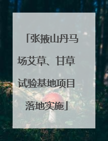 张掖山丹马场艾草、甘草试验基地项目落地实施