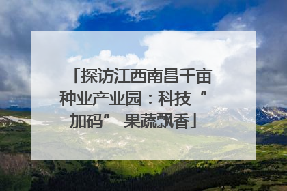 探访江西南昌千亩种业产业园：科技“加码” 果蔬飘香