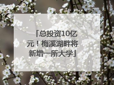 总投资10亿元！梅溪湖畔将新增一所大学