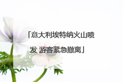 意大利埃特纳火山喷发 游客紧急撤离