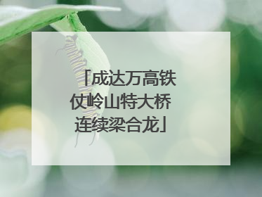 成达万高铁仗岭山特大桥连续梁合龙