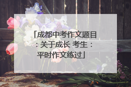 成都中考作文题目：关于成长 考生：平时作文练过