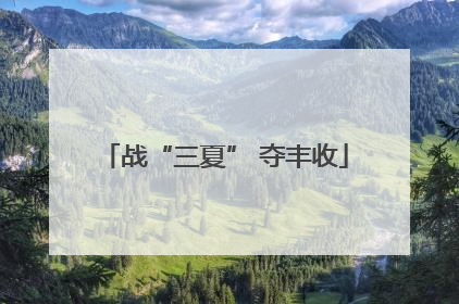 战“三夏” 夺丰收