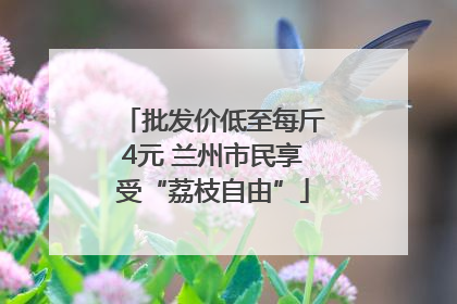 批发价低至每斤4元 兰州市民享受“荔枝自由”