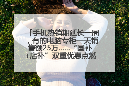 手机热销期延长一周，有的电脑专柜一天销售额25万……“国补+店补”双重优惠点燃德州“考后经济”