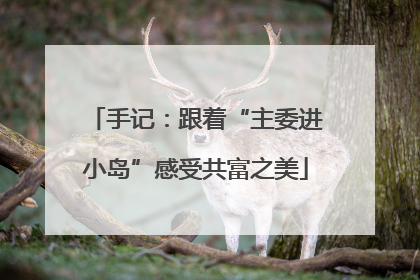 手记：跟着“主委进小岛”感受共富之美
