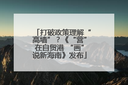打破政策理解“高墙”？《“营”在自贸港 “画”说新海南》发布