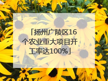 扬州广陵区16个农业重大项目开工率达100%