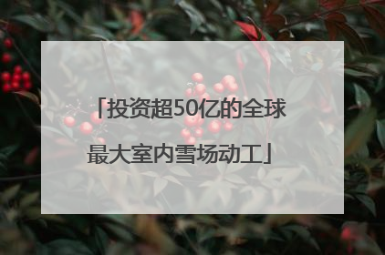 投资超50亿的全球最大室内雪场动工