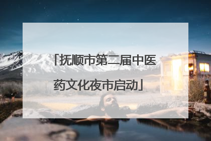 抚顺市第二届中医药文化夜市启动