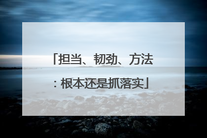 担当、韧劲、方法：根本还是抓落实