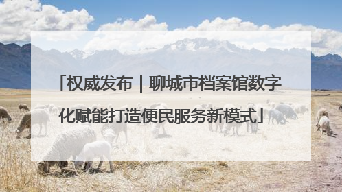 权威发布｜聊城市档案馆数字化赋能打造便民服务新模式